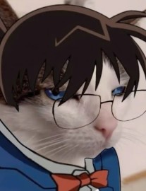 Read Conan: I'm Not a Psychopath Online