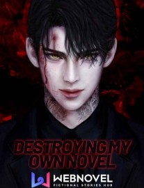 Read Destroying My Own Novel Online