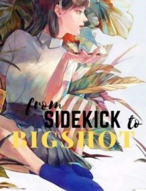 Read From Sidekick to Bigshot Online