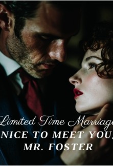Read Limited Time Marriage: Nice to Meet You Mr. Foster Online