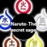 Naruto-The secret sage