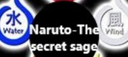 Naruto-The secret sage