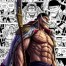 One Piece: I Upgraded the Strongest Man in the World