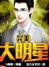 Perfect Superstar