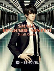 Read Small upgrade system Online
