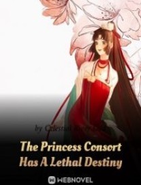 Read The Princess Consort Has A Lethal Destiny Online