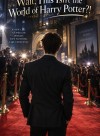 Wait, This Isn’t the World of Harry Potter?!