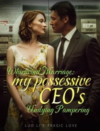 Read Whirlwind Marriage: My Possessive CEO's Undying Pampering Online
